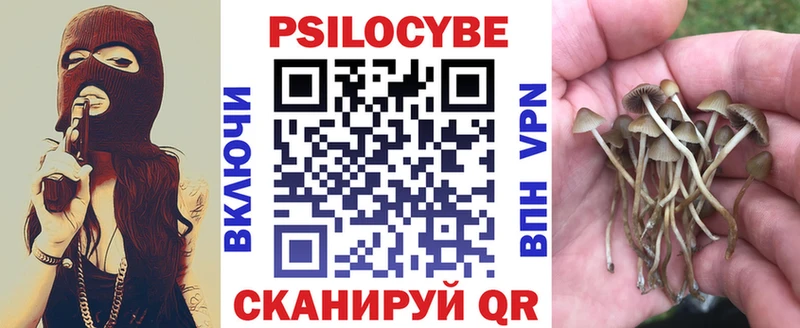 наркотики  Шацк  Галлюциногенные грибы прущие грибы 